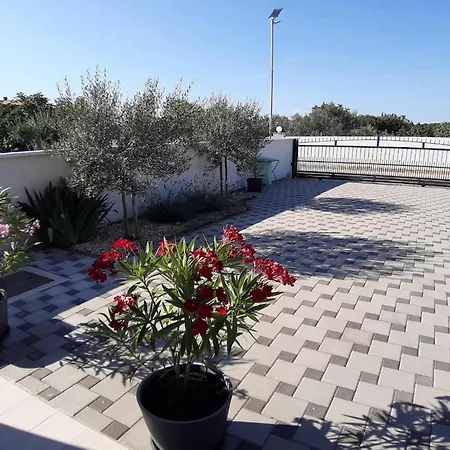 Zeus Semesterbostad Pula